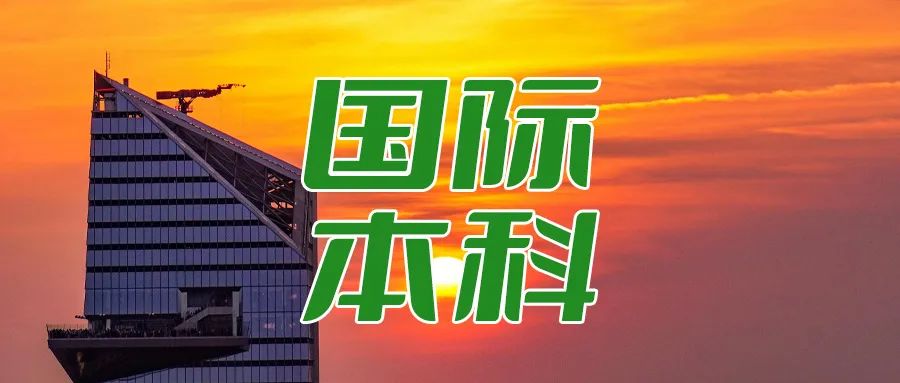 国际本科