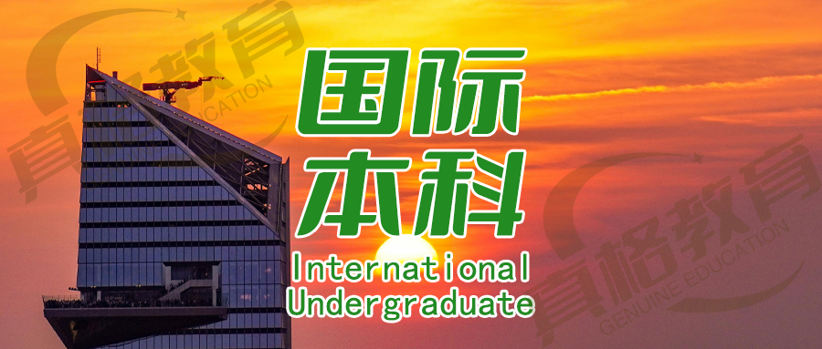 国际本科