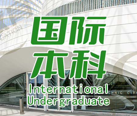 「升学规划」国际本科——财经与商业方向