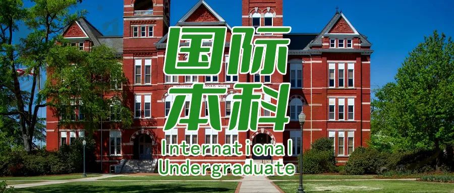 国际本科