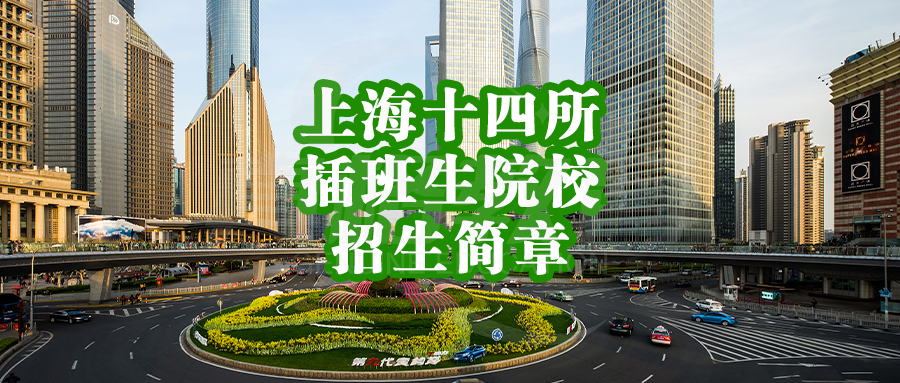 2024年上海十四所插班生院校招生简章