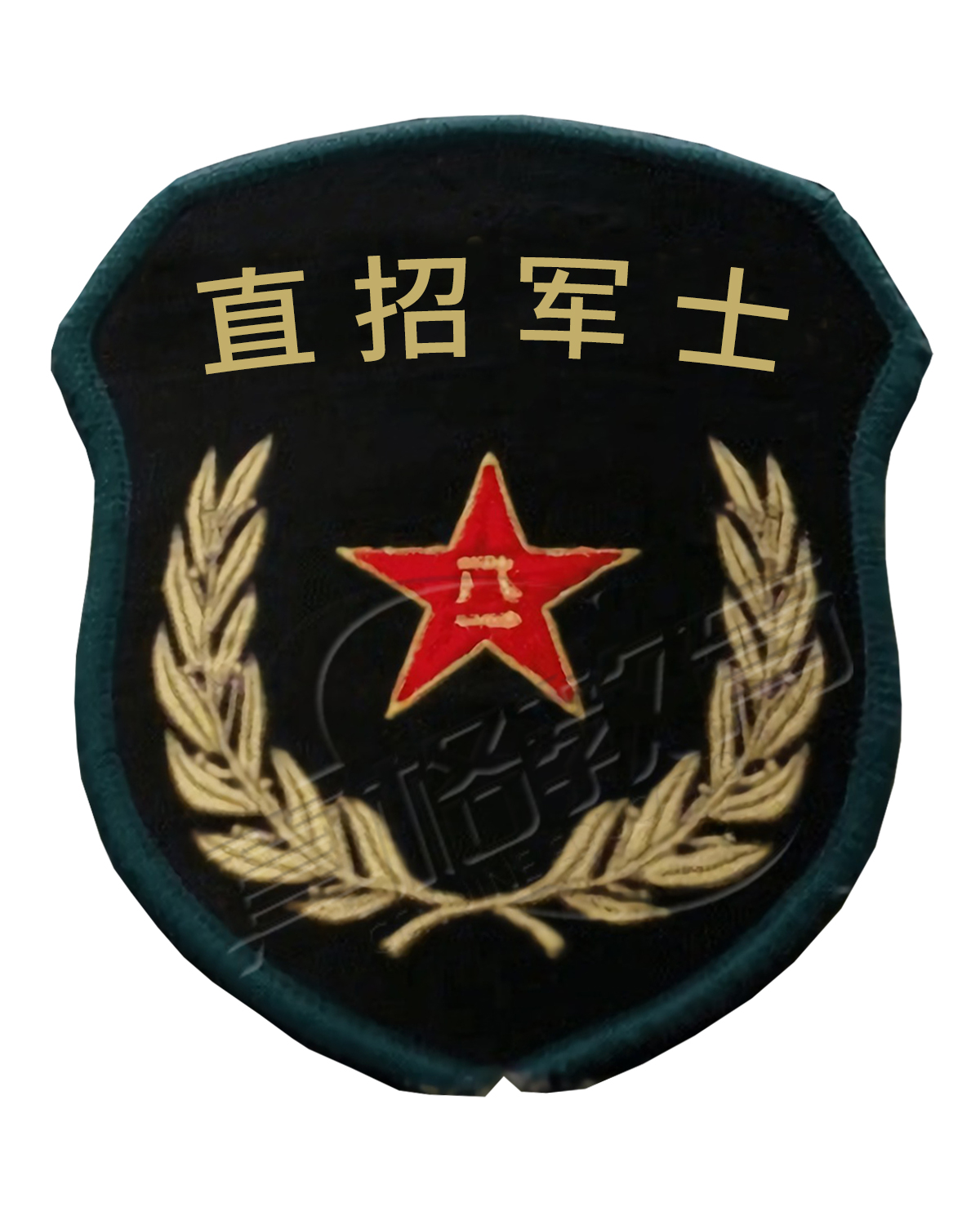 「直招军士」教育部喊你入伍！从校园到军营，升学就业双保障！